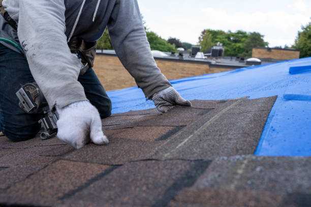 Best Storm Damage Roof Repair  in Newport, OH