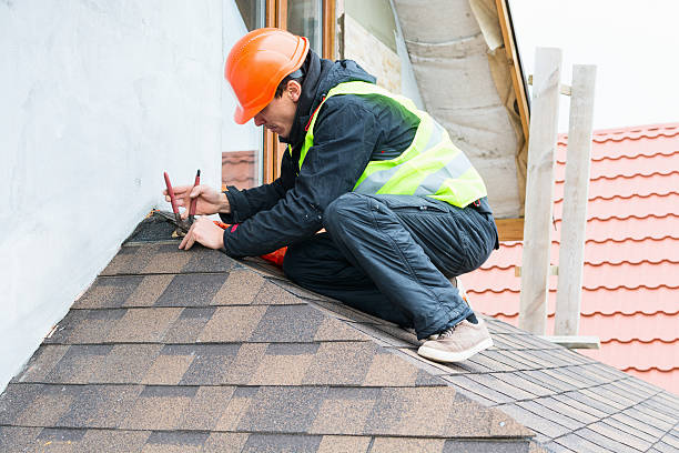Best Local Roofing Companies  in Newport, OH