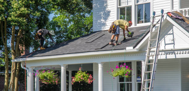Best Storm Damage Roof Repair  in Newport, OH