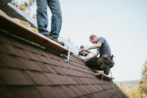 Quick and Trustworthy Emergency Roof Repair Services in Newport, OH